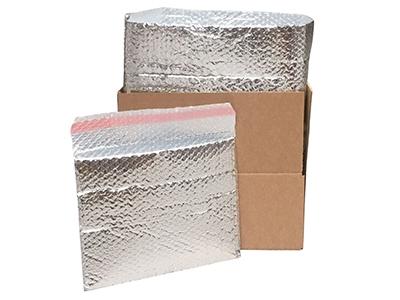 Thermal Insulated Bags and Carton Liners